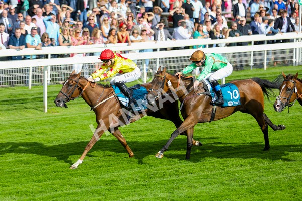 280723-Race 2-Quest For Fun-2740 - Race 2 5.30pm eventmasters.co.uk Handicap