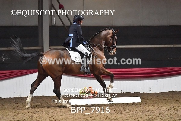 BPP_7916 - AM TEST 5