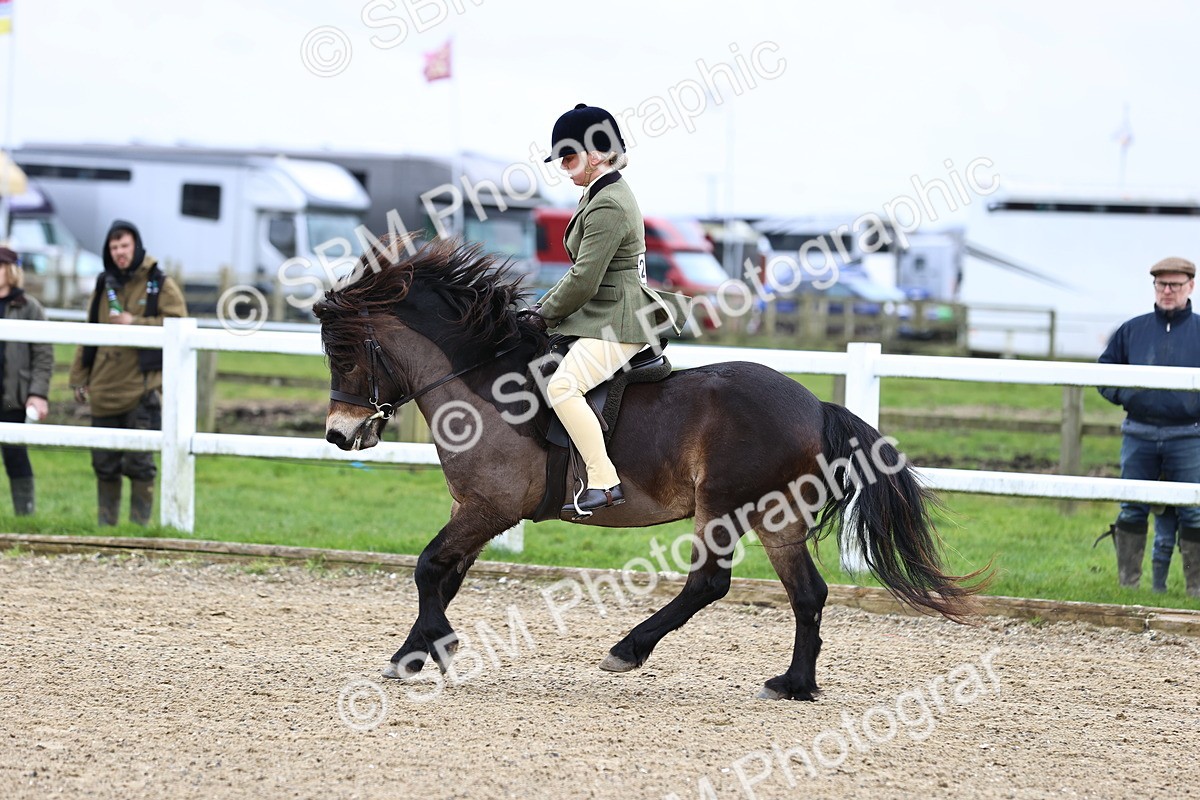 SBM_006806 - Class 29 - 30 - M&M Pure Novice Small-Large Breeds