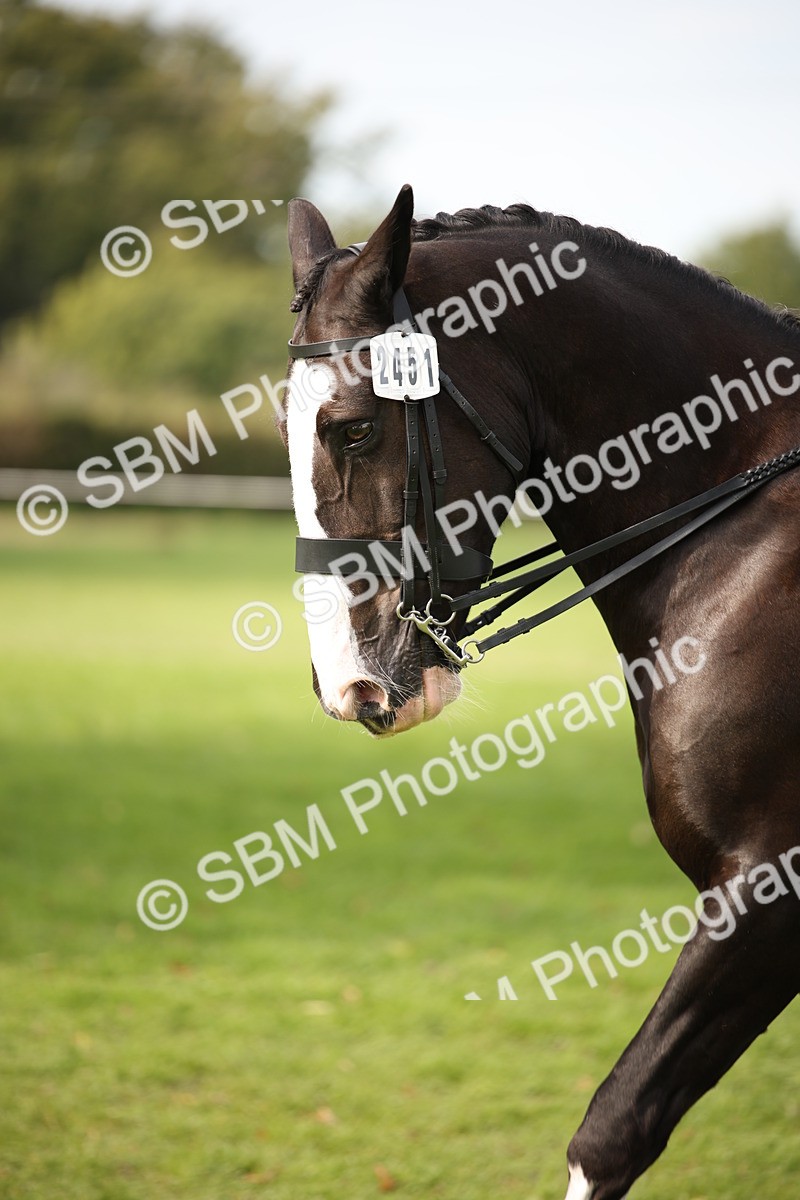 SBM_70412 - S66 - Hunter Ridden