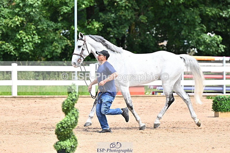 240718A-105255-01323 - Trot Up 12pm to 1pm