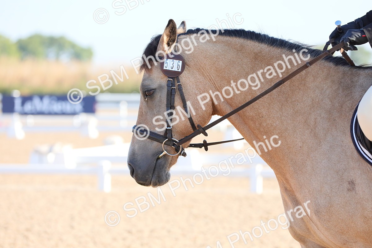 SBM_00819 - Class 30 Intro 1