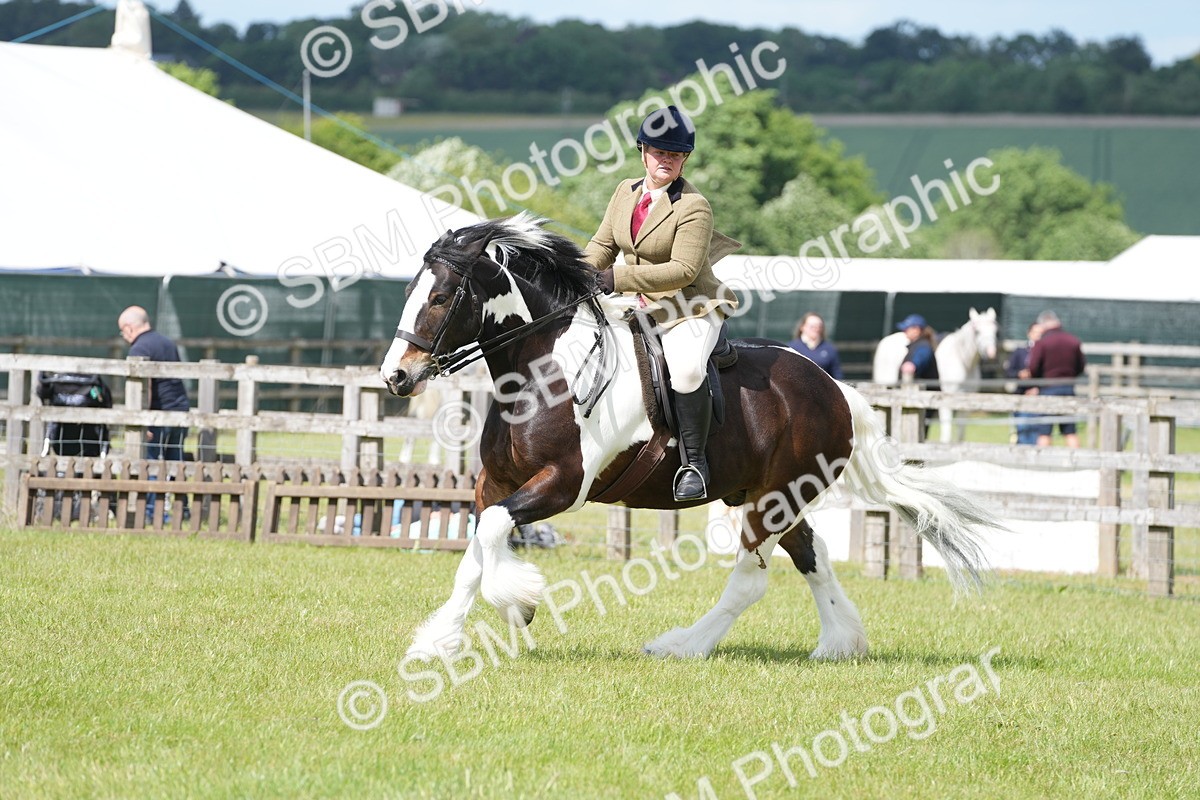 SBM_17293 - Class 107-108 - LIHS BSPS Performance Coloured Horse Pony