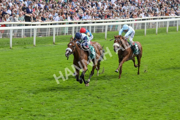 250823-Race 2-Coltrane-5813 - Race 2 2.25pm Weatherbys Hamilton Lonsdale Cup Stakes