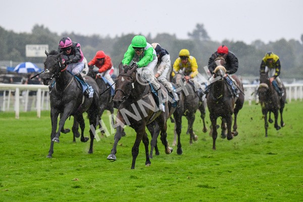 140723-Race 7-Gibside-0725 - Race 7 5.30pm William Hill Extra Place Races Daily Apprentice Handicap