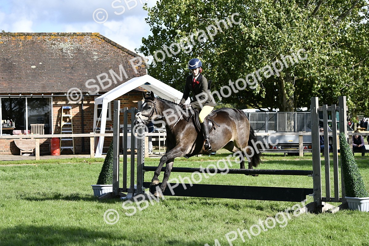 SBM_49983 - S34 - Novice & Newcomers Working Hunter