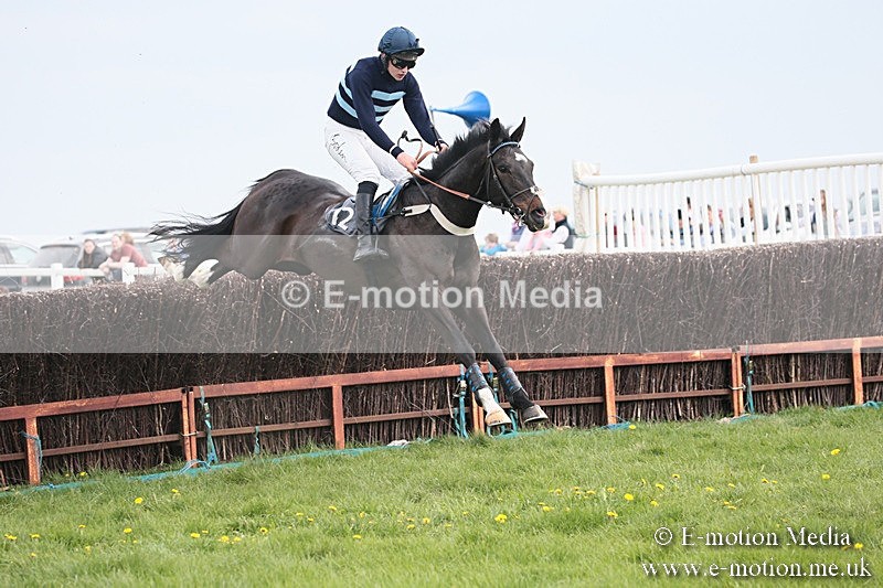 PtP 210418 190 - South & West Wilts Point-to-Point Larkhill 21/04/18