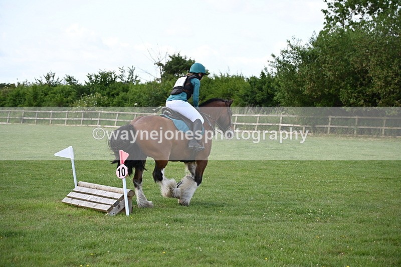 WJ6_2631 - Class 2 40cm