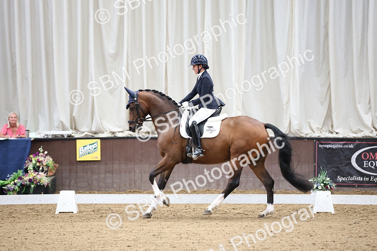SBM_002878 - Class 5 - Novice 6 Gold - 10.24-11.30