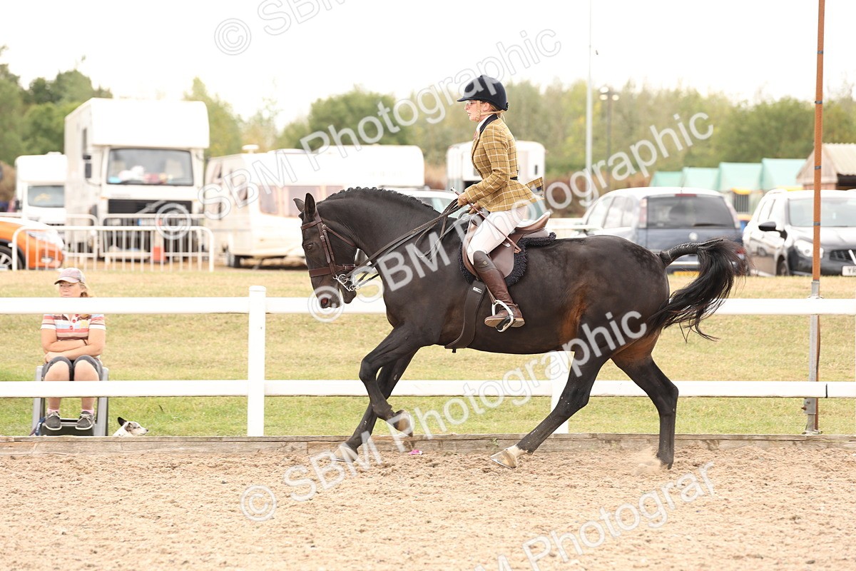 SBM_16498 - Class 212 - Ridden Hunter - Small