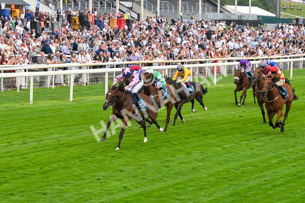 250725-Race 3-Amakhala Warrior-5720 - Race 3 6.38pm Ire-Incentive, It Pays To Buy Irish EBF Restricted Novice Stakes