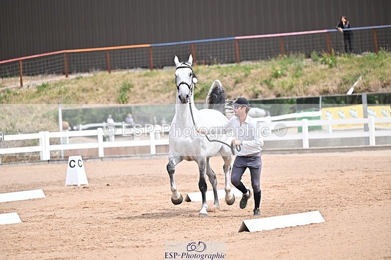 250716-132333-00479 - Trot Up 12.30 to 1.30