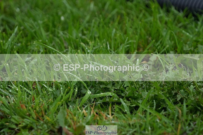 250920-142128-01436 - Cls 18-20 CoH 1.10m, 1.20m and 1.25m