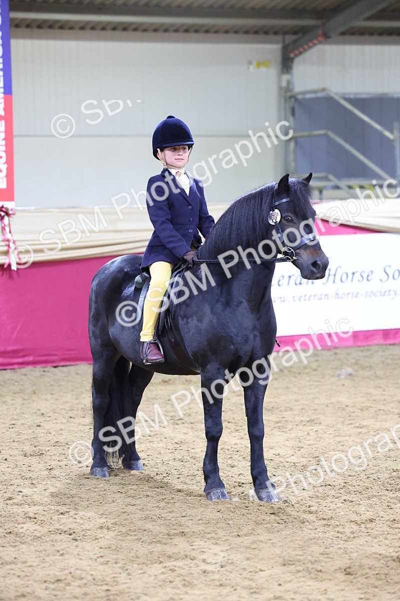 SBM_19017 - Class G Ridden Pony Champ