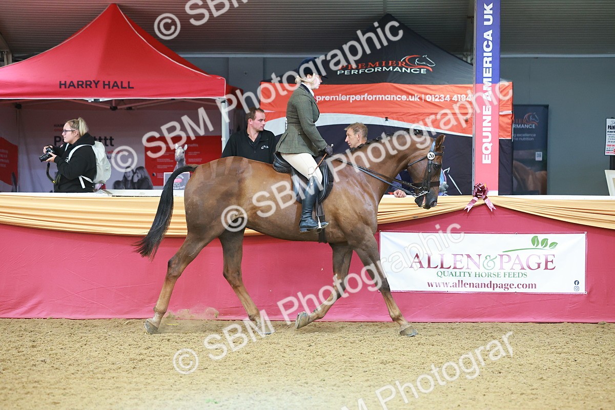 SBM_09605 - Class 102 - HOYS Veteran Qualifier - Ridden Veteran