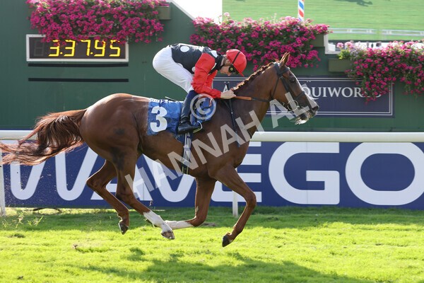 yr05092021r5-24 - Race 5 4.20pm Little Green Rascals Children's Nurseries Stakes