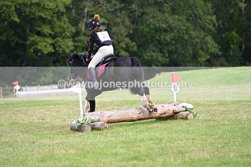 WJ7_8034 - 40cm Time 10:49 to 11:18