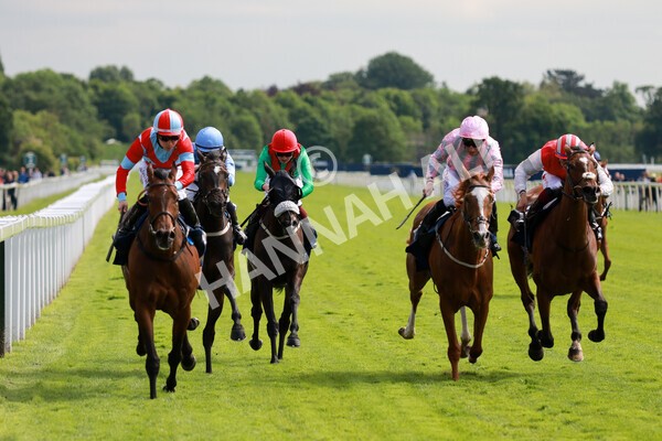 yr21052022r4-26 - Race 4: 3:30pm William Hill Brontë Cup