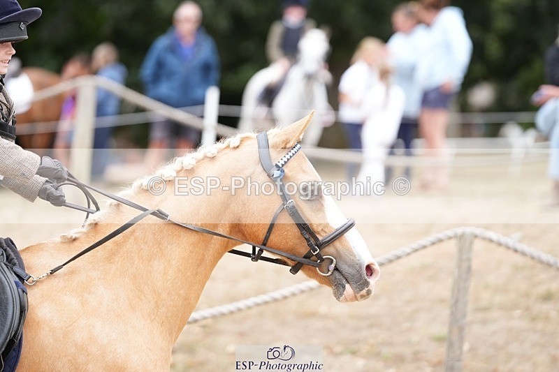 250820A-132036-06012 - Round 2, Start to 13.45 Break