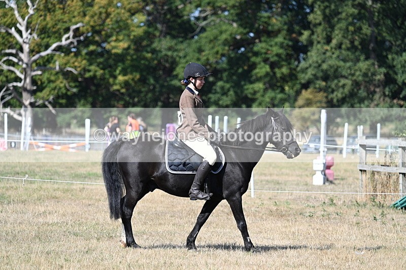 WJ7_3434 - Class 9 Mountain & Moorland Ridden