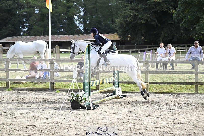 240823X-161708-19135 - 70cm R2 15.20 to 16.40