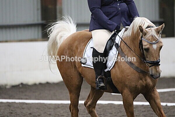 SIAL5494 - CAbin Dressage 5th july 2025