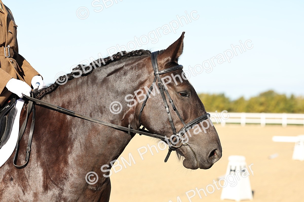 SBM_003078 - Class 66 - Intro 3