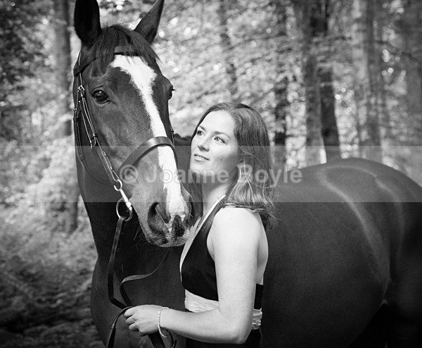 Exracehorse_plean - Equine Gallery Portfolio