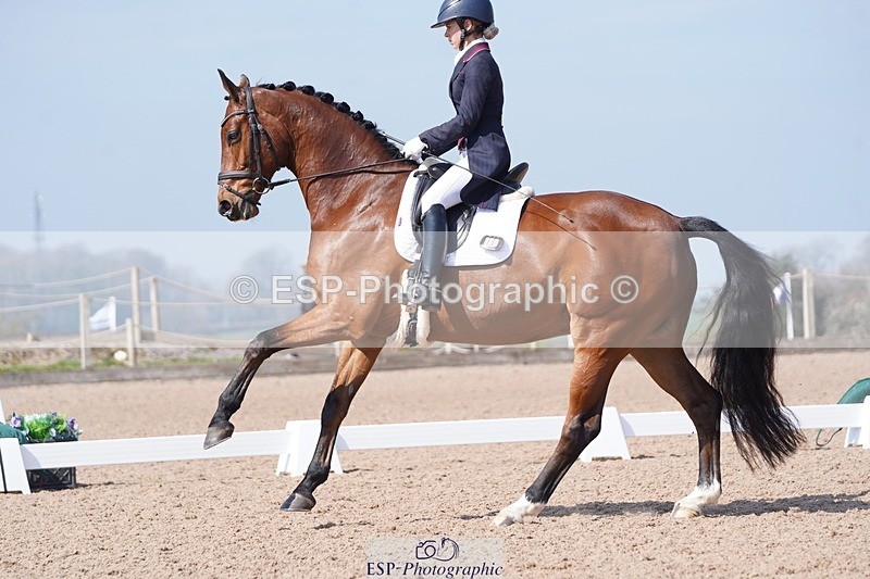 250404-122838-05662 - 028-Elizabeth.Allen-Heraldik