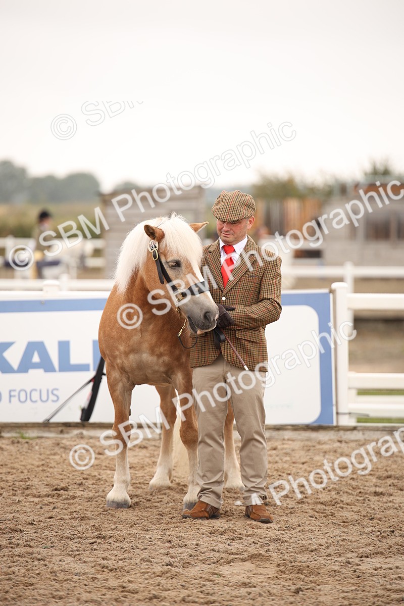 SBM_22146 - Class 707 - Ridden Groom-Helpers Class