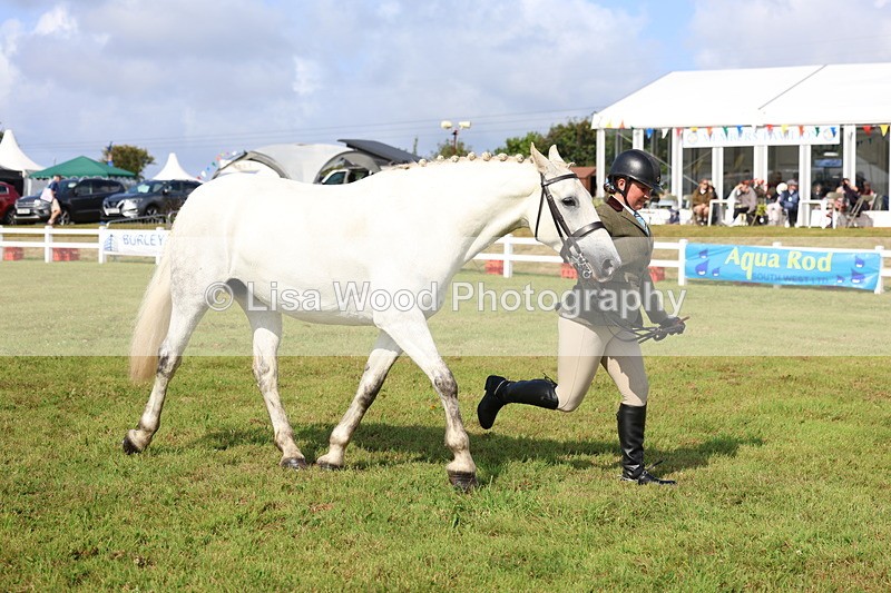 3E7A9062 - Class 3: Rising Star S/L Hunter