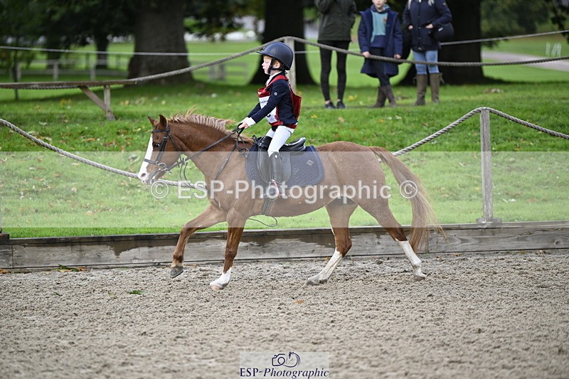 251005A-090915-02969 - Cls 02 GR 50cm