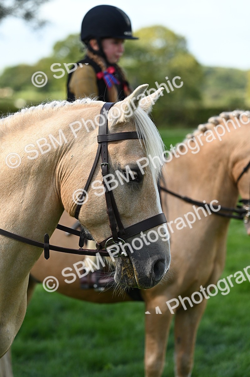 SBM_02834 - S3 - TSR Ridden Pony Showing