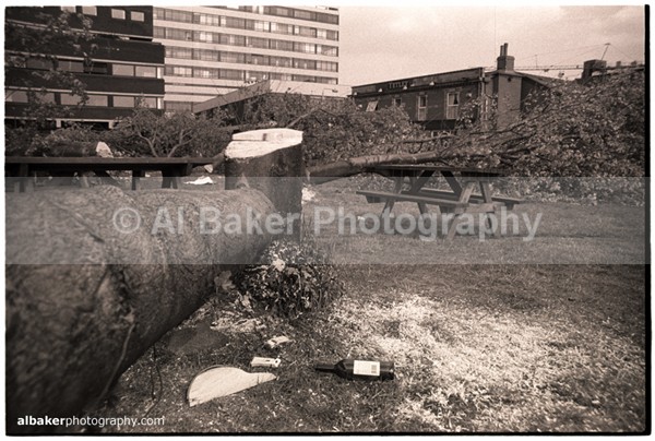 30 - Hulme Gallery (c)