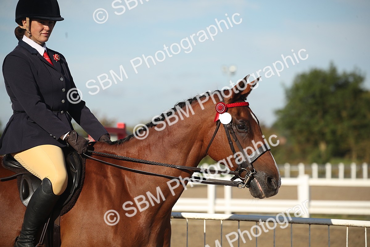 SBM_11244 - Class 501 -Riding Club Pony