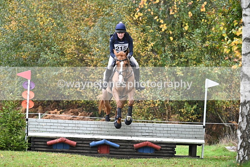 WJ7_2952 - 90cm Cam 2 Water Time 13:29 to 13:47