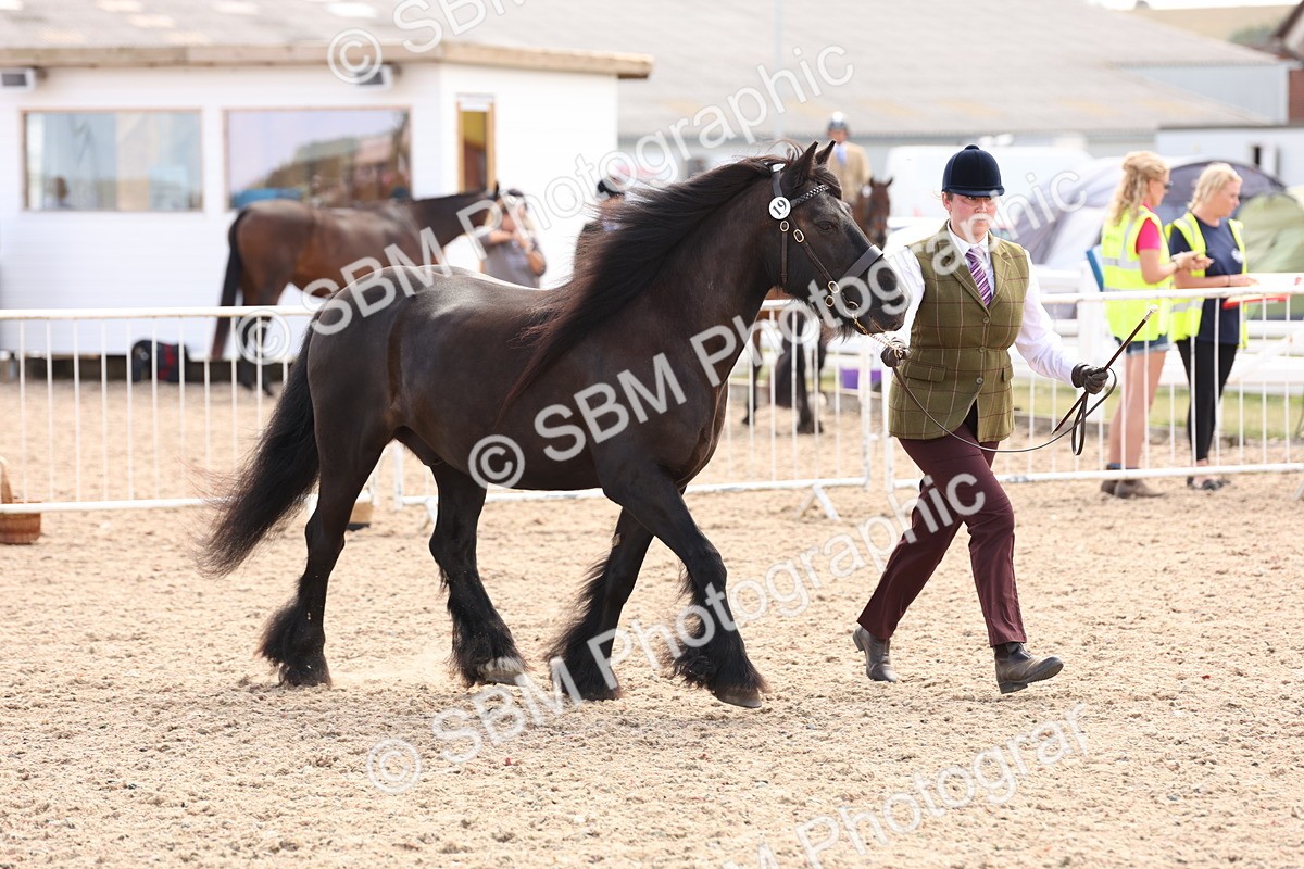 SBM_15079 - Class 209 - IH Veteran Pony