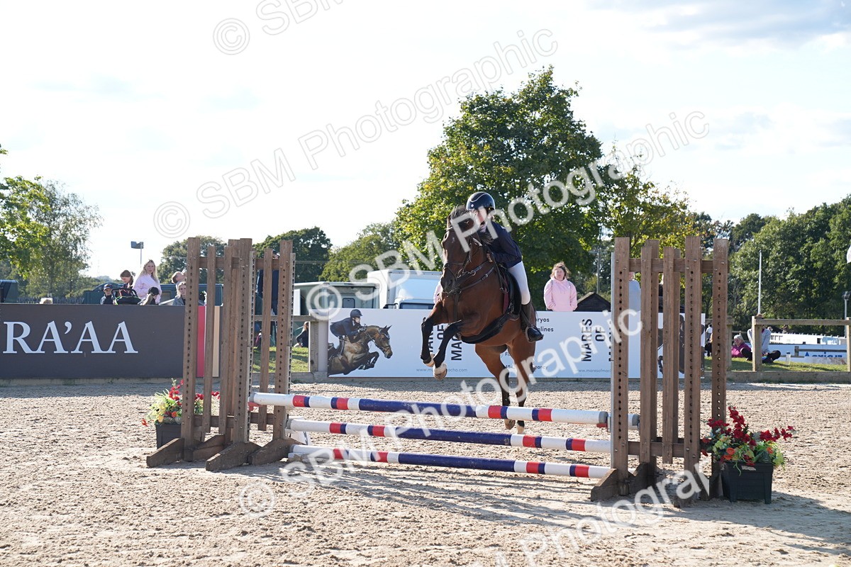 SBM_27954 - J43 - Super Speedy Scurry Open - 60cm