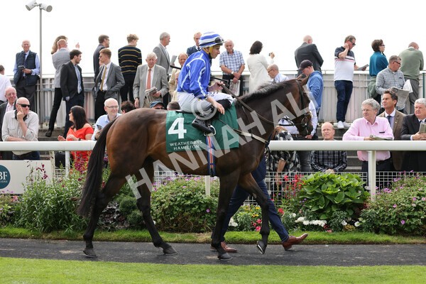 yr20082021r2-29 - Race 2 2.25pm Weatherbys Hamilton Lonsdale Cup (British Champion Series race)