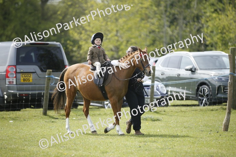 20260426-1873 - Class 7 - Pony Judge Would Most Like To Take Home