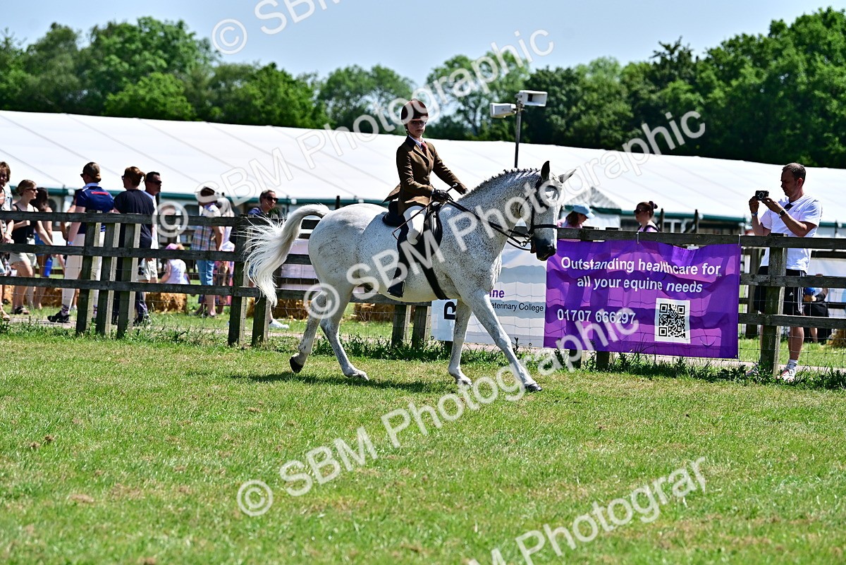 SBM_15369 - Class 95-97 - BSPS LHS Performance Ponies