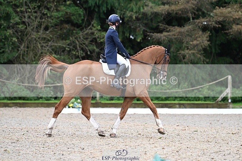 231019-130307-02915 - 049-AUGUSTUS.IMPERIOUS-Ines.Mitchell-DR