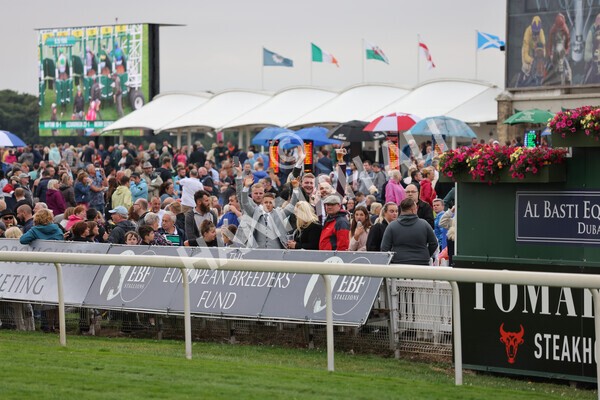 yr22072022r3-40 - Race 3 6.20pm Tomahawk Stakes