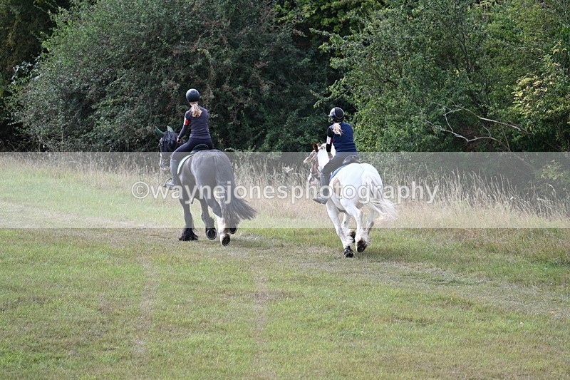 WJ7_4434 - Time 10:54 to 11:16