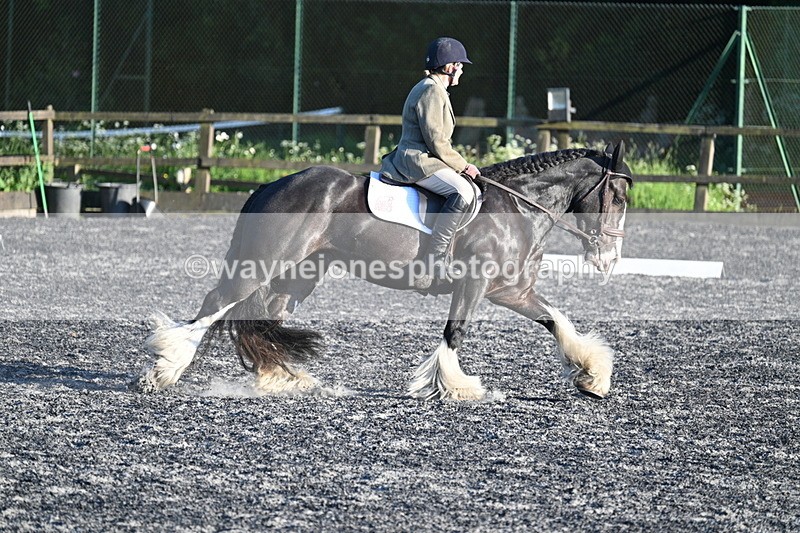 WJ7_5201 - Class 2 Prelim 1