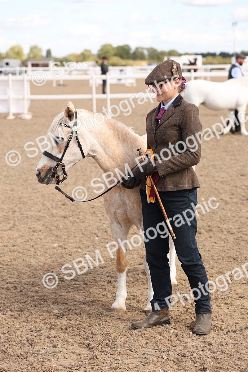 SBM_13994 - Class 205 - IH Show Pony - Show Hunter Pony