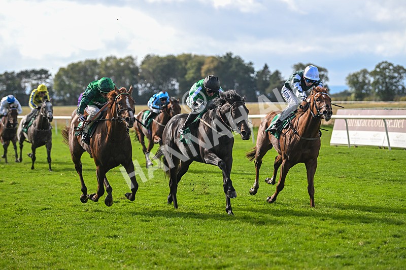 150625-Race 3-Stoneacre Donny-2520
