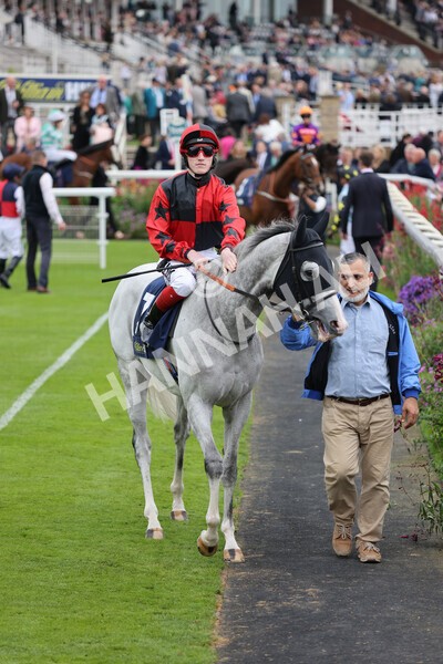 yr24092021r3-12 - Race 3 2.40pm WilliamHill.com Best Odds Guaranteed Stakes