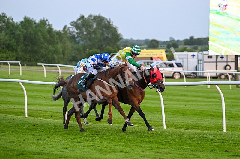 310524-Race 6-Mister Sox-9047 - Race 6