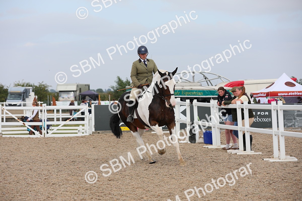 SBM_16952 - Class 314 Family Horse/Pony
